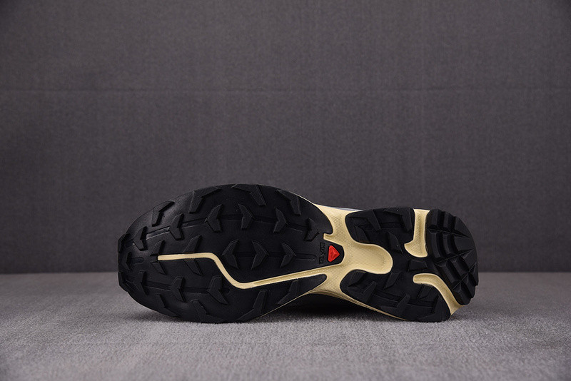 salomon xt-6 expanse